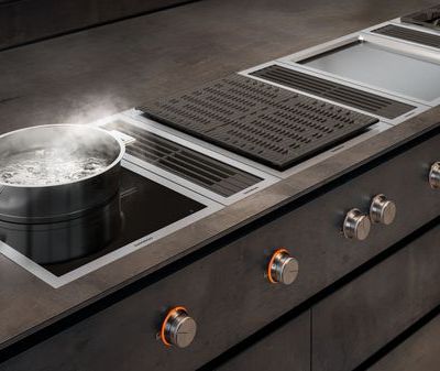 16933761_gaggenau-ventilation-400-series-vario-downdraft-carousel-2.jpg