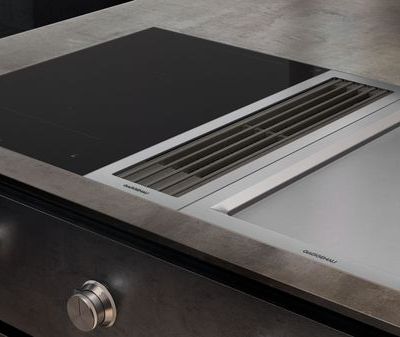 16933763_gaggenau-ventilation-400-series-vario-downdraft-carousel-3.jpg