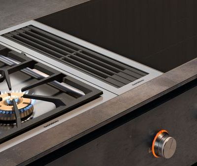 16933764_gaggenau-ventilation-400-series-vario-downdraft-carousel-4.jpg