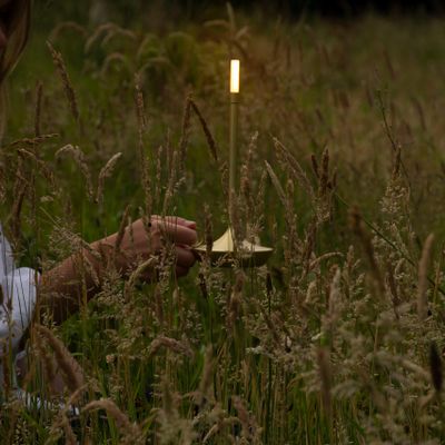 GP-wick-shoot-grasslands-june20-1.jpg
