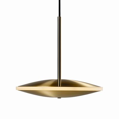 Graypants_Chrona_Dish10h_Pendant_Brass_2.jpg