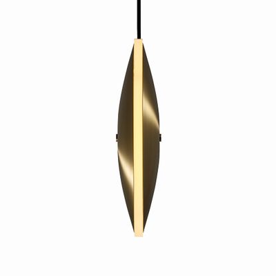Graypants_Chrona_Dish10v_Pendant_Brass_2.jpg