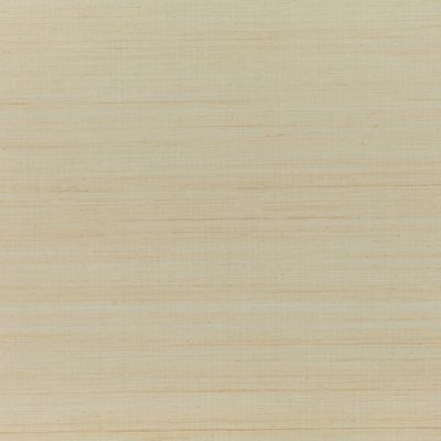 MW100-02-abaca-atmosphere_02.jpg