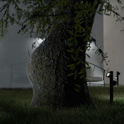 bruco_c4-web.jpg