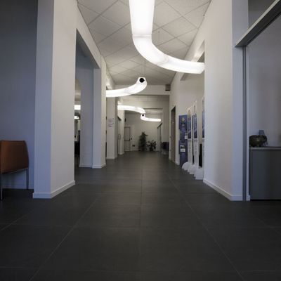 circular_pol_xxl_5c5a6894-s-web.jpg
