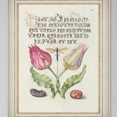 lettering_ix_-_30x40cm_fa14048_1.jpg