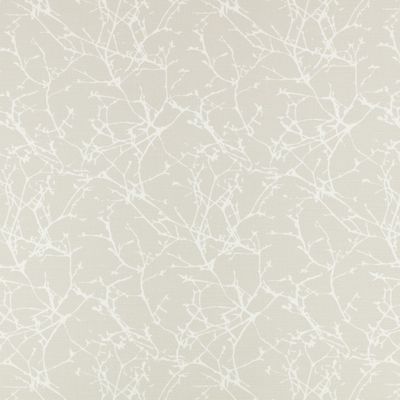 7758-08-acacia-shell_03.jpg