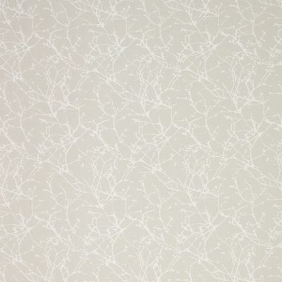 7758-08-acacia-shell_05.jpg