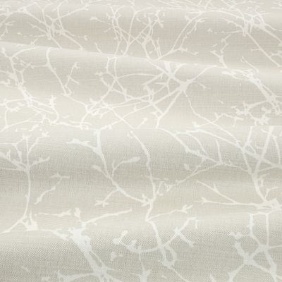 7758-08-acacia-shell_04.jpg