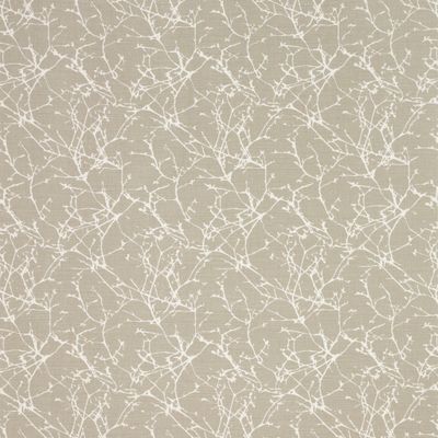 7758-09-acacia-string_05.jpg