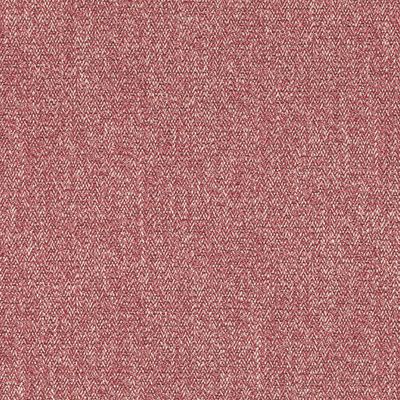 7947-11-acara-pomelo_02.jpg