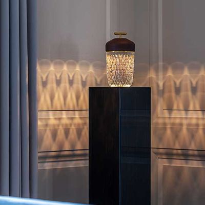 hoche-lumiere-baladeuse.jpg