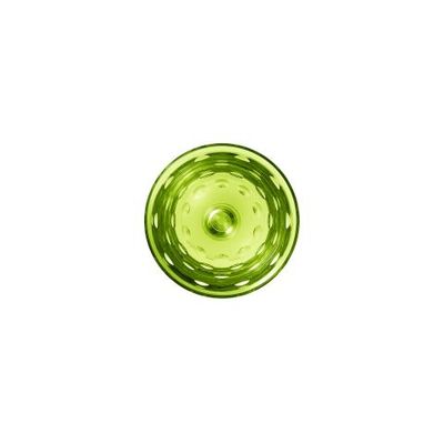 apollo_roemer_bleu_chartreuse_1.jpg