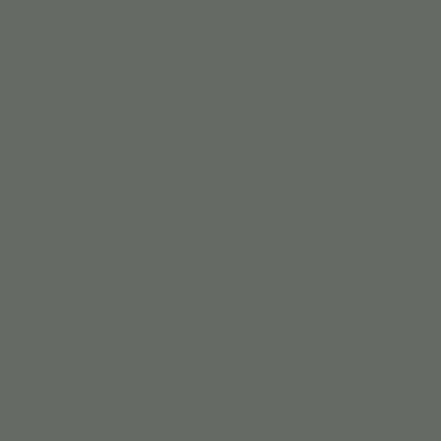 ral-7005-mouse-grey-500x500.jpg