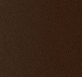Gianduia