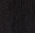 Rovere Fossile