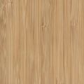 BA00 Bamboo