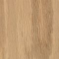 RVTR Oak