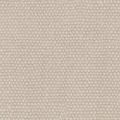 Trofeo Chalk 04