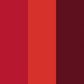 Roundel Top Rosso