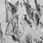 Flying silver coloured leaf