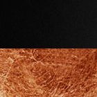 Black / copper coloured leaf