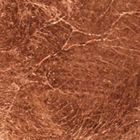 Copper coloured leaf