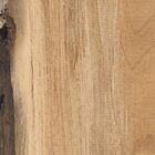 Oak