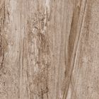 Soft Brown