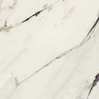 Breccia Capraia