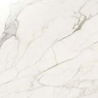 Calacatta Gold