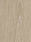 RD Rovere Decapè