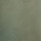 .Eco Leather