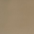 ABFP016783