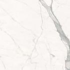 Bianco Venato
