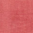 Lino 55