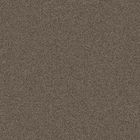 Metal Bronzo Antico