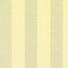 Amber Stripe