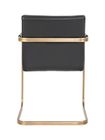 Sable Brass Frame Fumee Pure Furniture 1