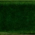 Moss