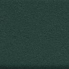 Greenecho