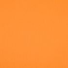 Mandarina