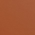 Chestnut