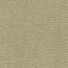Trofeo Sage Green 12