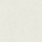 Trofeo Optic White 01