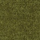 Skorpios Sea Kelp 23