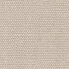 Trofeo Chalk 04