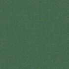 Torino Primal Green