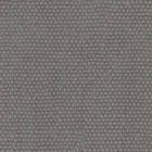 Trofeo Robust Grey 24