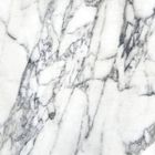 Marmo Carrara